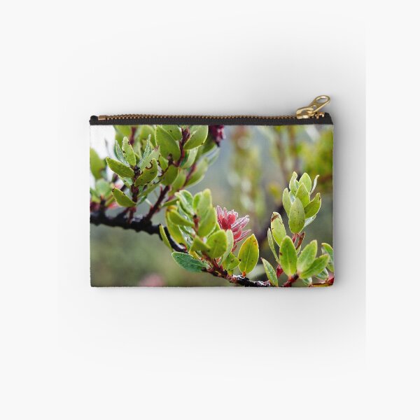 Item preview, Fragile pink bursts on still-damp foliage designed and sold by franck380.