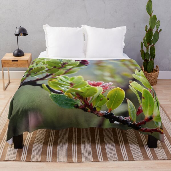 Item preview, Fragile pink bursts on still-damp foliage designed and sold by franck380.