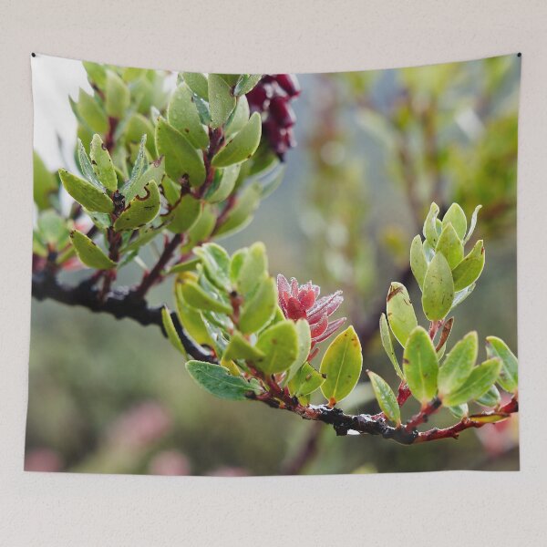 Item preview, Fragile pink bursts on still-damp foliage designed and sold by franck380.
