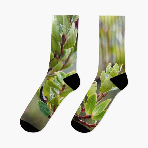 Item preview, Fragile pink bursts on still-damp foliage designed and sold by franck380.