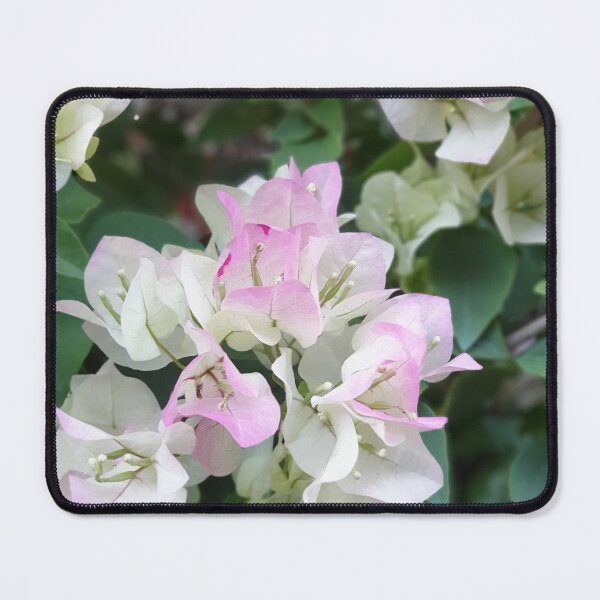 Item preview, Color Transition Bougainvillea Blooming designed and sold by ichirochen.