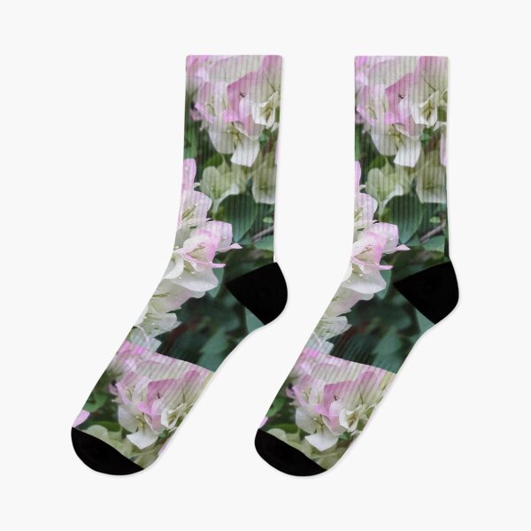 Item preview, Color Transition Bougainvillea Blooming designed and sold by ichirochen.