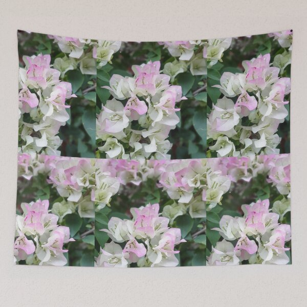 Item preview, Color Transition Bougainvillea Blooming designed and sold by ichirochen.