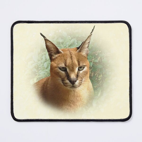 Item preview, Caracal designed and sold by Guardi71.