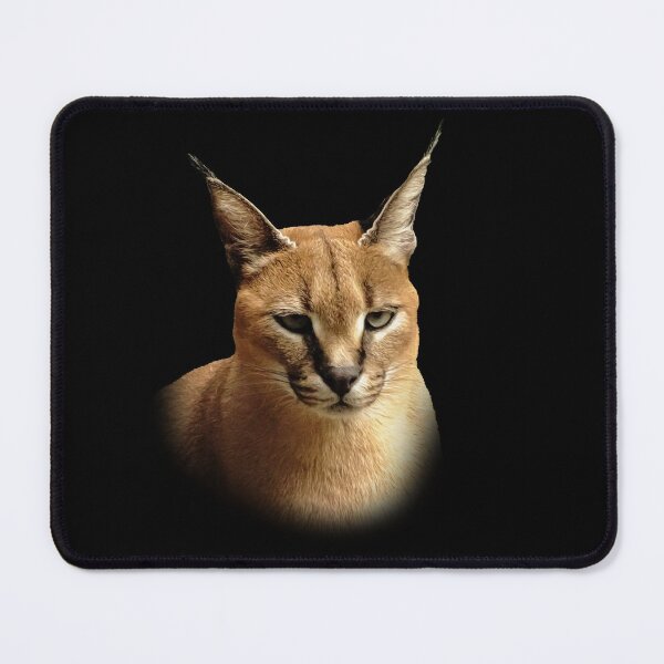 Item preview, Caracal designed and sold by Guardi71.