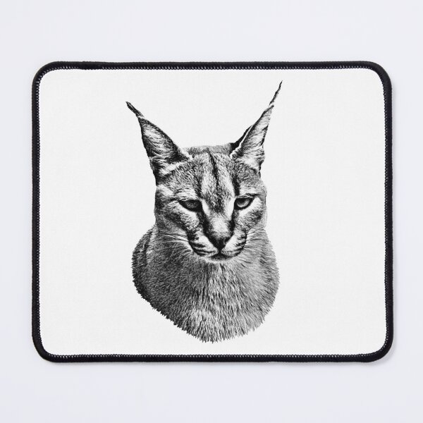 Item preview, Caracal designed and sold by Guardi71.