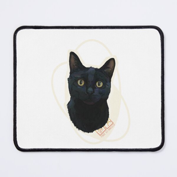 Item preview, Kiki the C-Section Rescue Cat | Shropshire Street Cats designed and sold by Made-by-Anxiety.