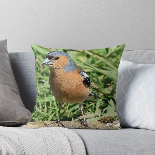 Item preview, Common Chaffinch (male)  perched on log designed and sold by Robert Flynn.