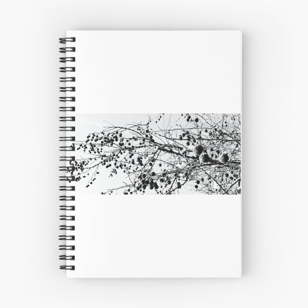 Item preview, Black and White Plane Tree Seeds - Minimalist Nature Photography | Geometric Winter Pattern designed and sold by SergioMiklos.