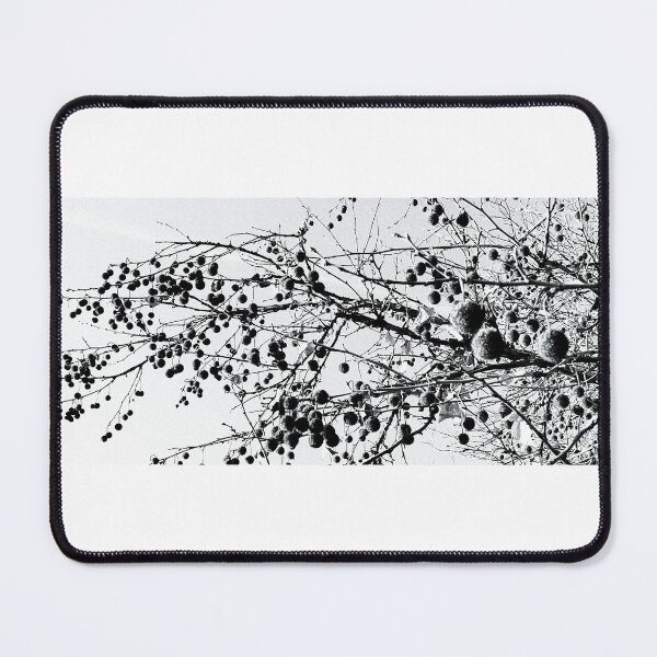 Item preview, Black and White Plane Tree Seeds - Minimalist Nature Photography | Geometric Winter Pattern designed and sold by SergioMiklos.