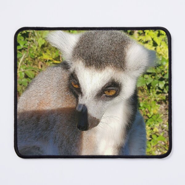 Item preview, Lemur designed and sold by missmoneypenny.