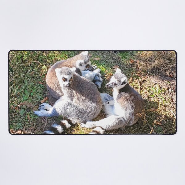 Item preview, Ring tailed lemurs designed and sold by missmoneypenny.