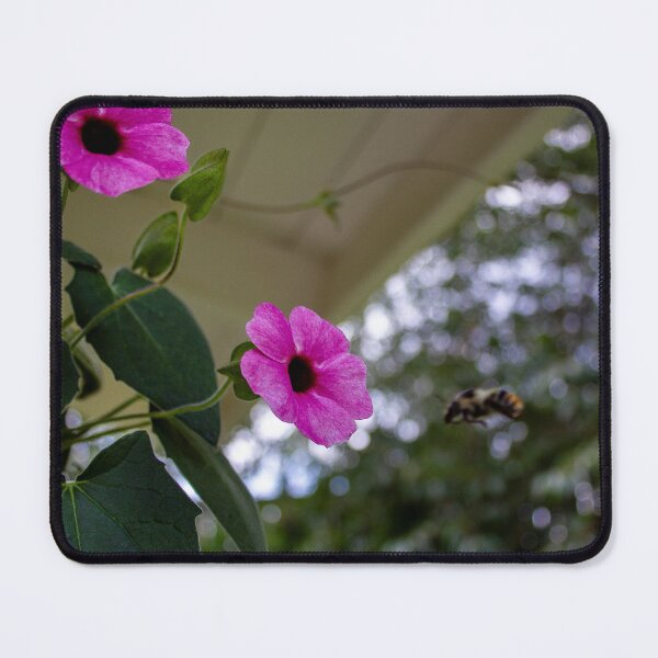 Item preview, Summer Harmony – Bumblebee and Pink Black-Eyed Susan designed and sold by ankarsundfoto.