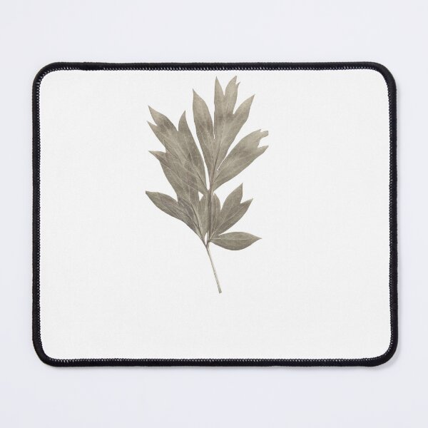 Item preview, Minimalist Botanical Dried Leaf designed and sold by johnExpress02.