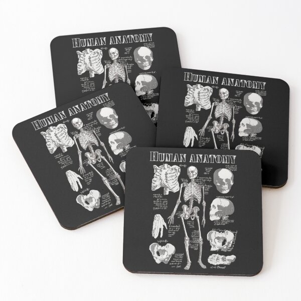 Item preview, Human Anatomy – Vintage Skeleton Study Illustration designed and sold by flowerpower999.