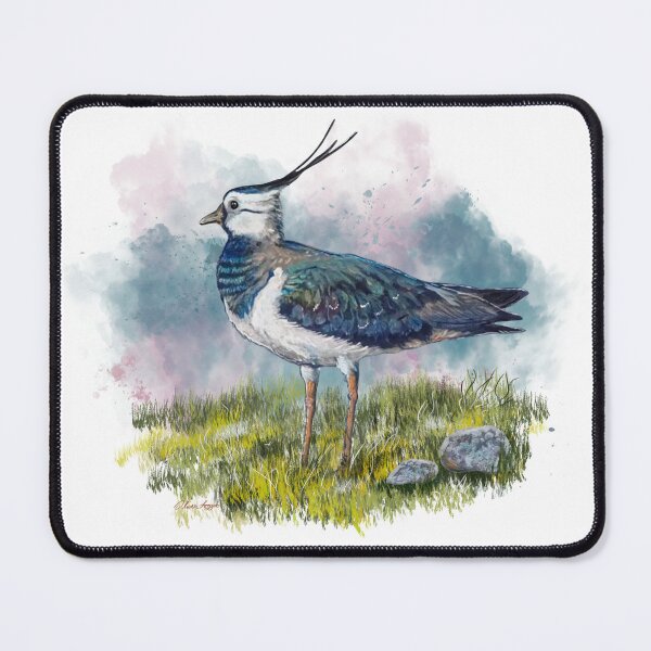 Item preview, “The Lustrous Lapwing” Peewit bird art designed and sold by Printfantasia .