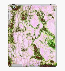 Red Rock Rain iPad Case/Skin