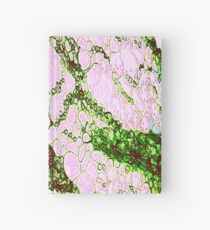 Red Rock Rain Hardcover Journal