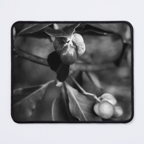 Item preview, Wintercreeper designed and sold by Emily Noyes.