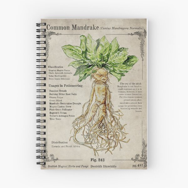 Item preview, Magical Mandrake Herbology designed and sold by DrawBotanical.
