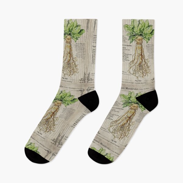 Item preview, Magical Mandrake Herbology designed and sold by DrawBotanical.