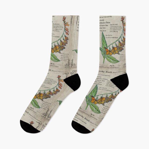 Item preview, Flutterby Bush Herbology Botanical designed and sold by DrawBotanical.