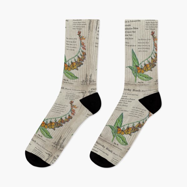 Item preview, Flutterby Bush Herbology Botanical designed and sold by DrawBotanical.