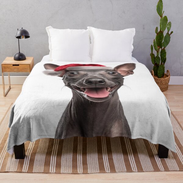 Item preview, Cute American Hairless Terrier Christmas Art — American Hairless Terrier Wearing Santa Hat designed and sold by LazyOwlStore.