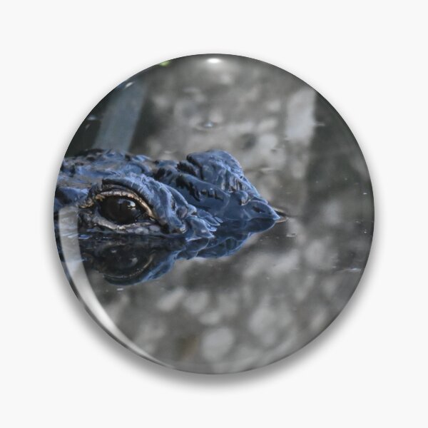 Item preview, Alligator peeking  designed and sold by Glennphotos.