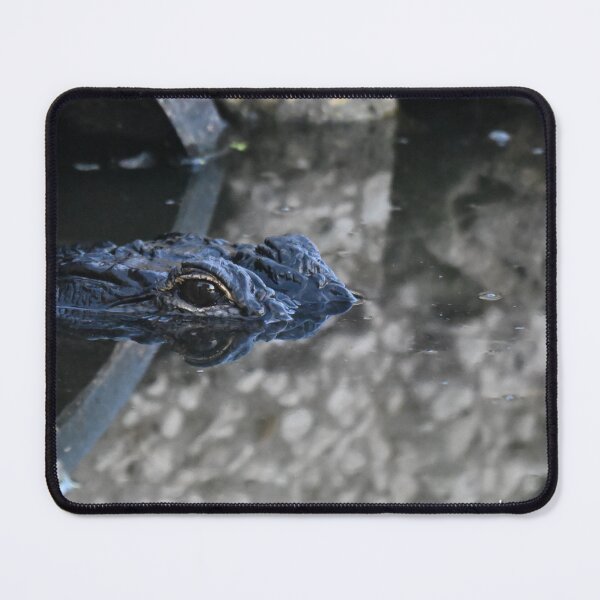 Item preview, Alligator peeking designed and sold by Glennphotos.