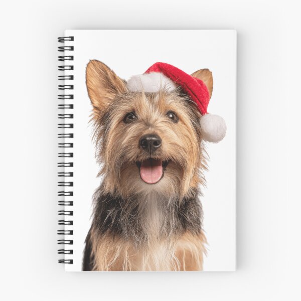 Item preview, Adorable dibujo navideño de un Silky Terrier — Silky Terrier con gorro de Papá Noel designed and sold by LazyOwlStore.