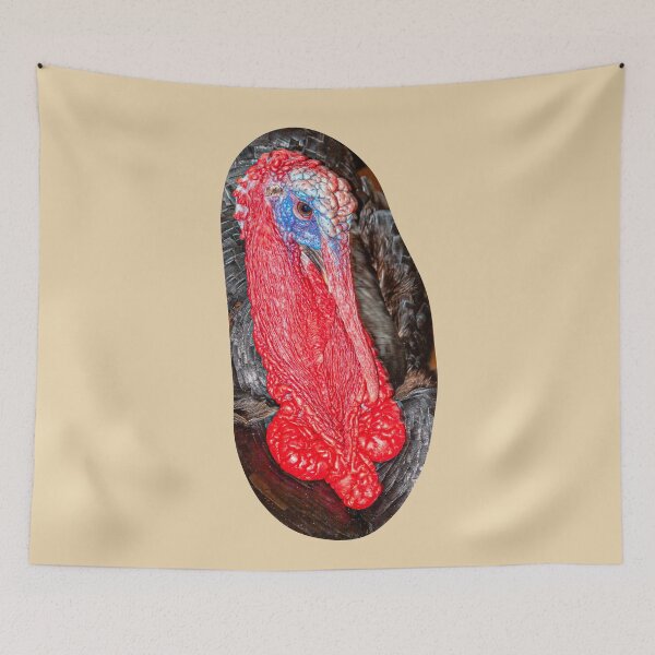 Item preview, Turkey Tom designed and sold by Dalyndigital Photography.