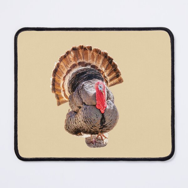 Item preview, Turkey Tom Display designed and sold by Dalyndigital Photography.
