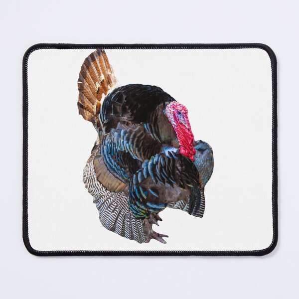 Item preview, Turkey Tom designed and sold by Dalyndigital Photography.