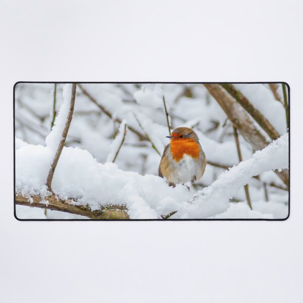 Item preview, Snow-bound Robin designed and sold by Dalyndigital Photography.