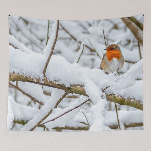 Item preview, Snow-bound Robin designed and sold by Dalyndigital Photography.