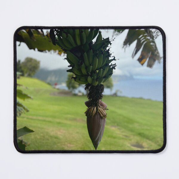 Item preview, Banana Cluster Overlooking the Sea designed and sold by TrisaThyme.