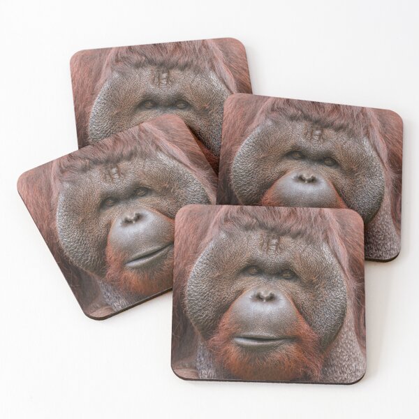 Item preview, Soul Beneath the Flanges – Orangutan Face designed and sold by rawshutterbug.