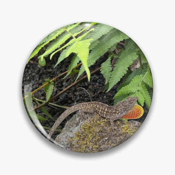 Item preview, Wild Lizard Display – Nature on Lava Rock designed and sold by TrisaThyme.
