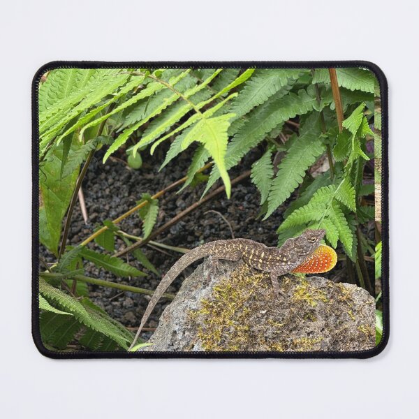 Item preview, Wild Lizard Display – Nature on Lava Rock designed and sold by TrisaThyme.
