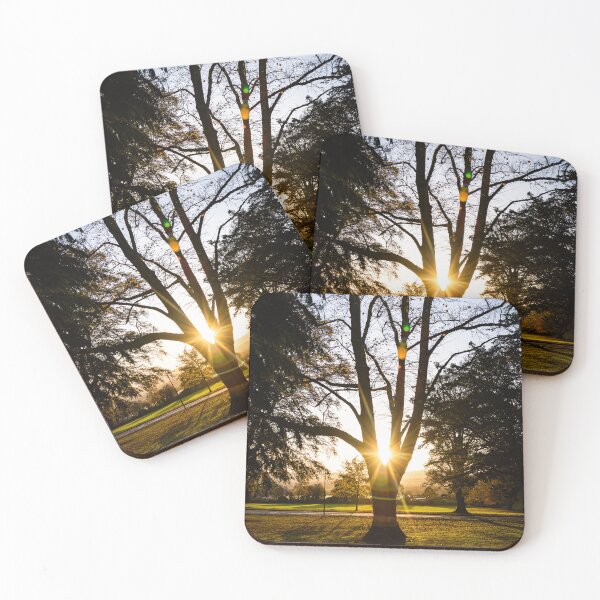 Item preview, Sun Shining (Crichton Gardens, Dumfries) designed and sold by Darren Frazer Photography.