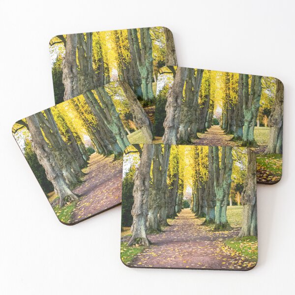 Item preview, Fall (Crichton Gardens, Dumfries) designed and sold by Darren Frazer Photography.