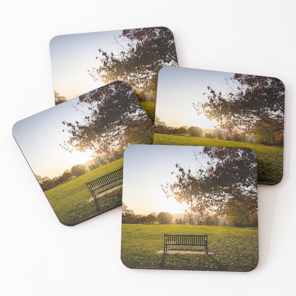 Item preview, Take a seat (Crichton Gardens, Dumfries) designed and sold by Darren Frazer Photography.