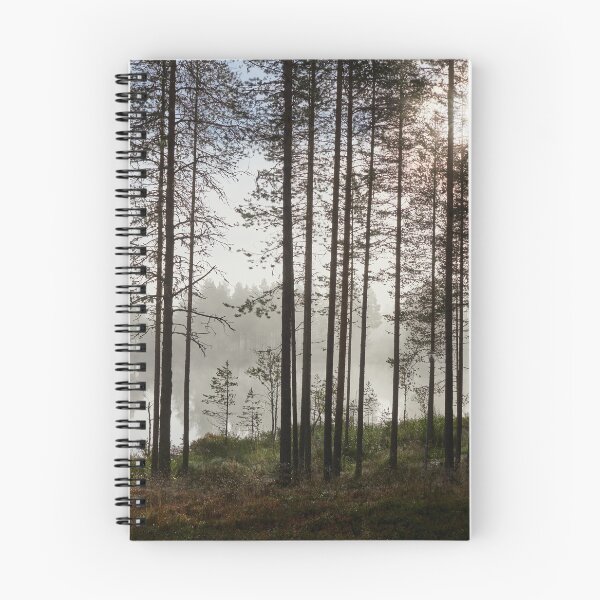 Item preview, The hint of the rising sun. Petajalampi designed and sold by Jouko Lehto Photography.