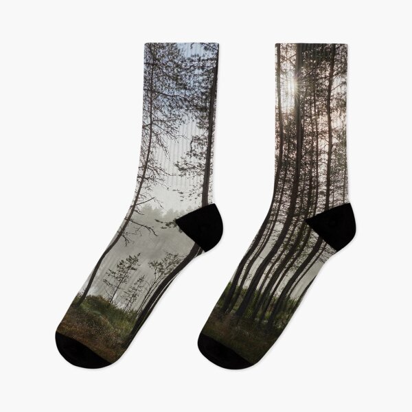 Item preview, The hint of the rising sun. Petajalampi designed and sold by Jouko Lehto Photography.