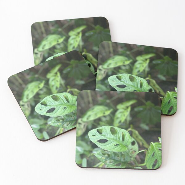 Item preview, Swiss Cheese Plant – Monstera Jungle Leaves designed and sold by TrisaThyme.