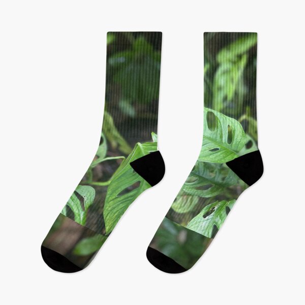 Item preview, Swiss Cheese Plant – Monstera Jungle Leaves designed and sold by TrisaThyme.