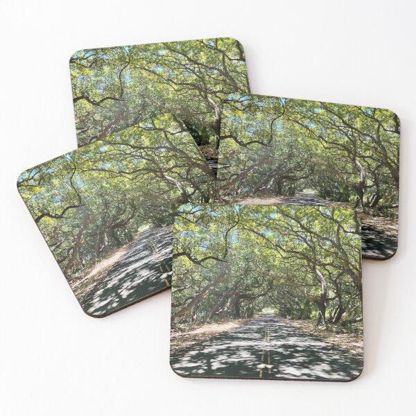 Item preview, Tree Tunnel Road – Sunlit Canopy Path designed and sold by TrisaThyme.