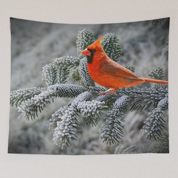 Item preview, Cardinal on Winter Branch designed and sold by tomorrowsart.