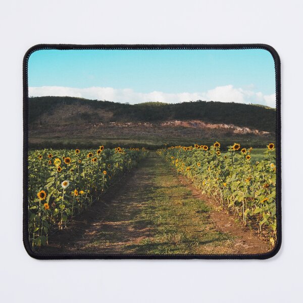Item preview, Golden Path Through Guánica’s Sunflower Valley designed and sold by Por.Ahi.PR.
